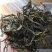 大雪山普洱茶