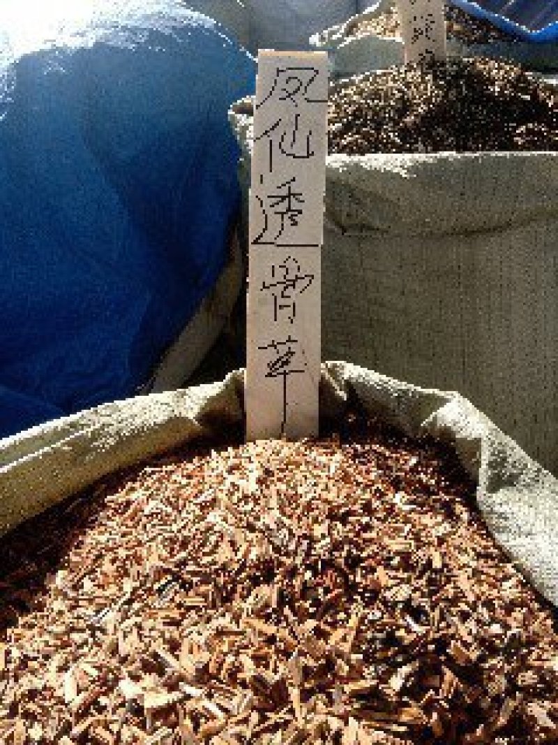 凤仙透骨草1公斤起批不包邮量大电议欢迎咨询各种中药材
