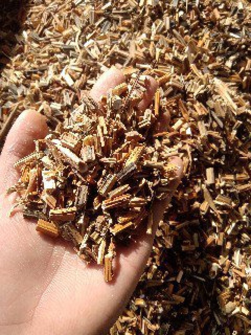 凤仙透骨草1公斤起批不包邮量大电议欢迎咨询各种中药材