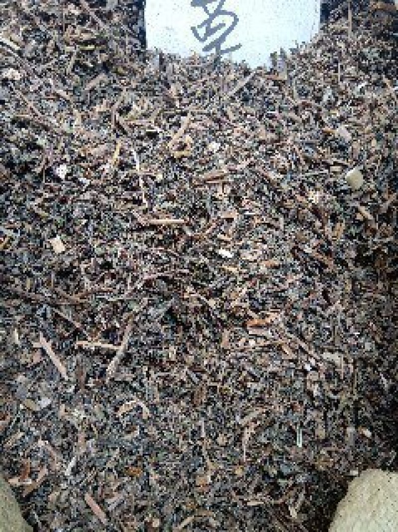 旱连草野生1公斤起批不包邮量大电议欢迎咨询各种中药材