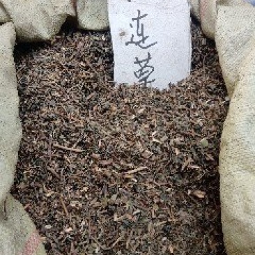 旱连草野生1公斤起批不包邮量大电议欢迎咨询各种中药材