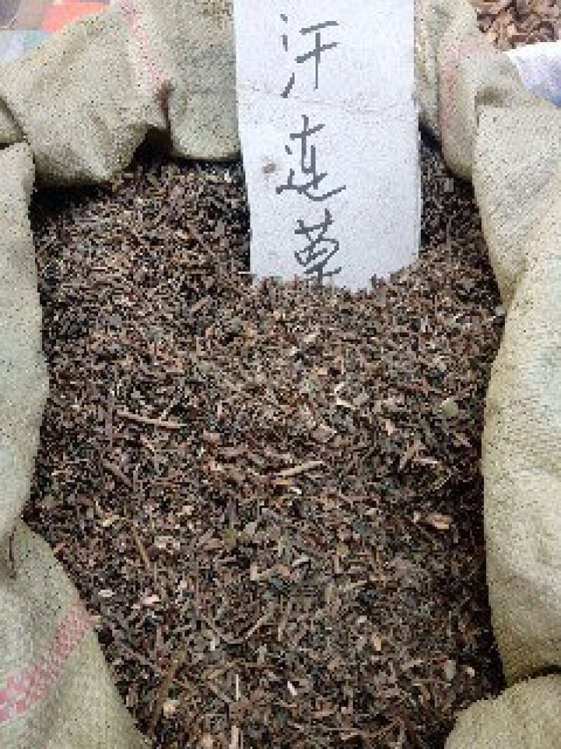 旱连草野生1公斤起批不包邮量大电议欢迎咨询各种中药材