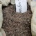 旱连草野生1公斤起批不包邮量大电议欢迎咨询各种中药材