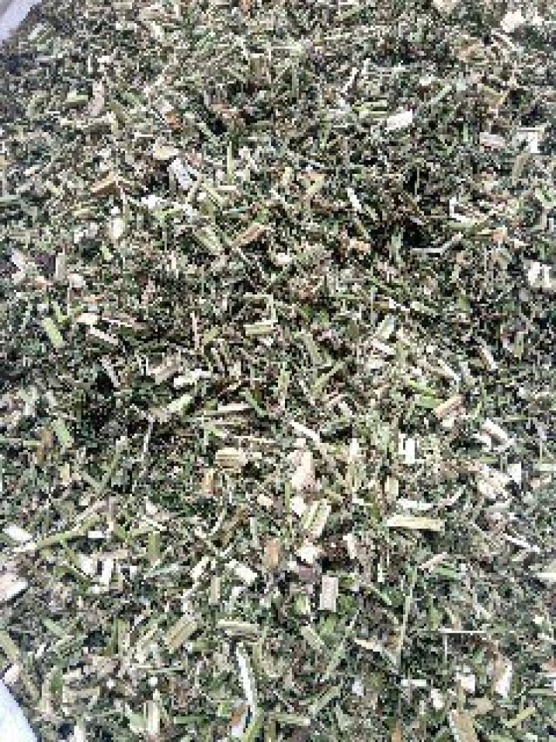 益母草野生1公斤起批不包邮量大电议欢迎咨询各种中药材