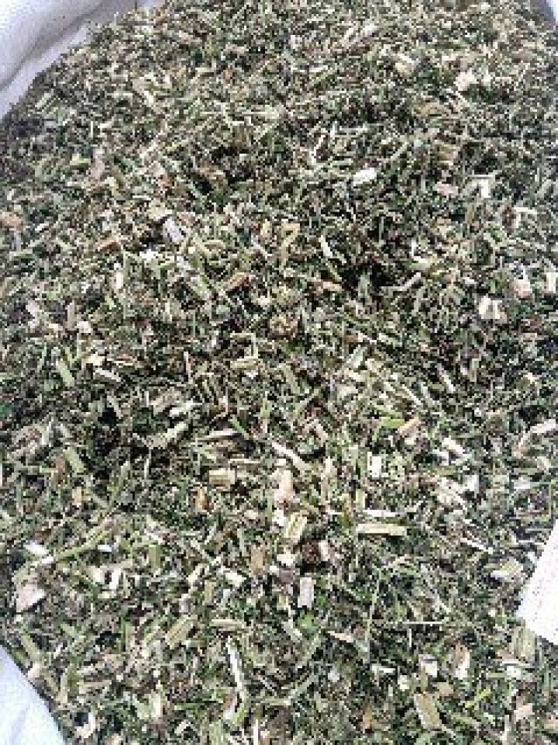 益母草野生1公斤起批不包邮量大电议欢迎咨询各种中药材