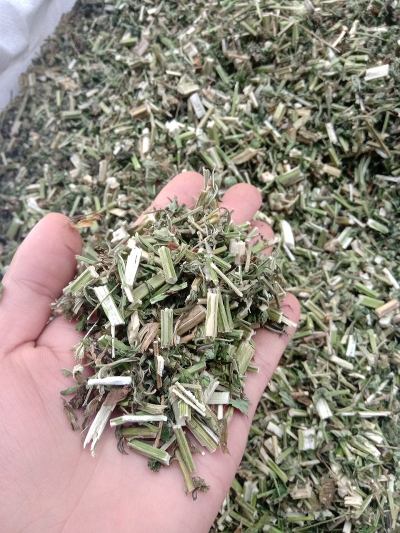 益母草野生1公斤起批不包邮量大电议欢迎咨询各种中药材