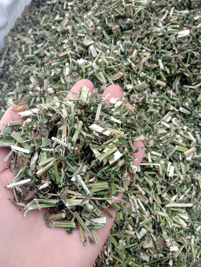 益母草野生1公斤起批不包邮量大电议欢迎咨询各种中药材