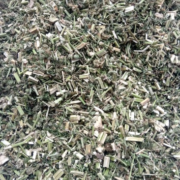 益母草野生1公斤起批不包邮量大电议欢迎咨询各种中药材
