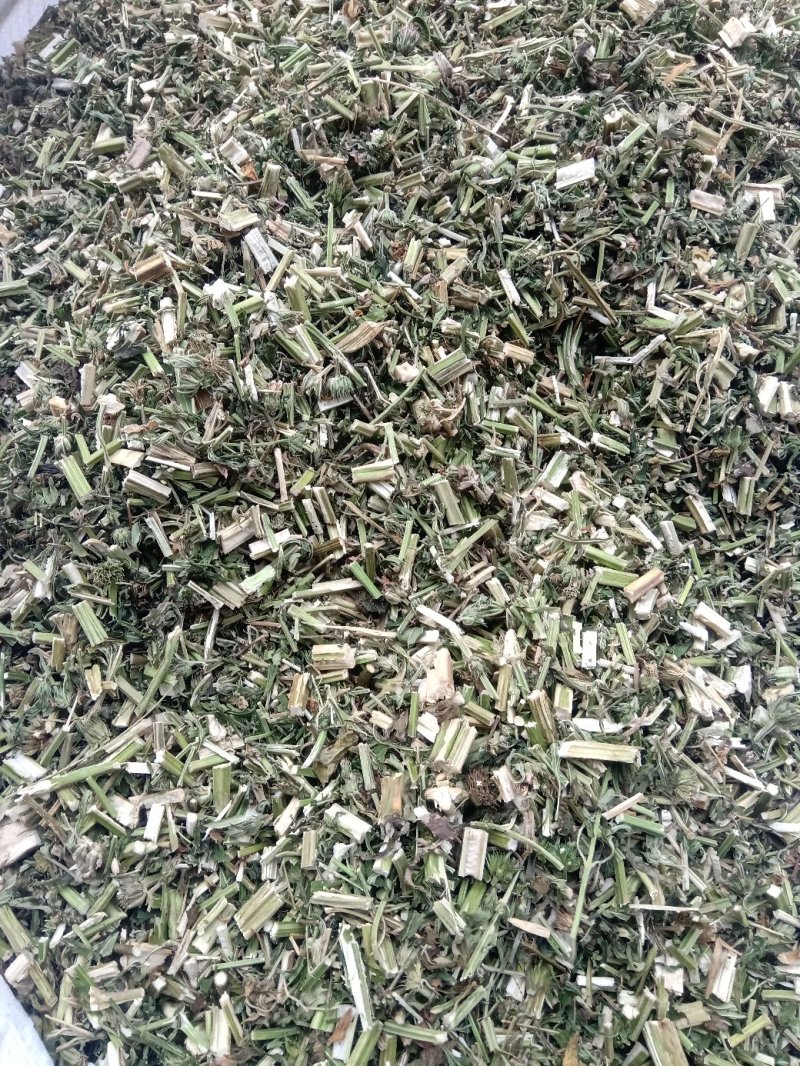 益母草野生1公斤起批不包邮量大电议欢迎咨询各种中药材