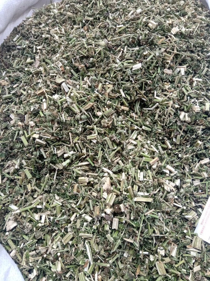 益母草野生1公斤起批不包邮量大电议欢迎咨询各种中药材