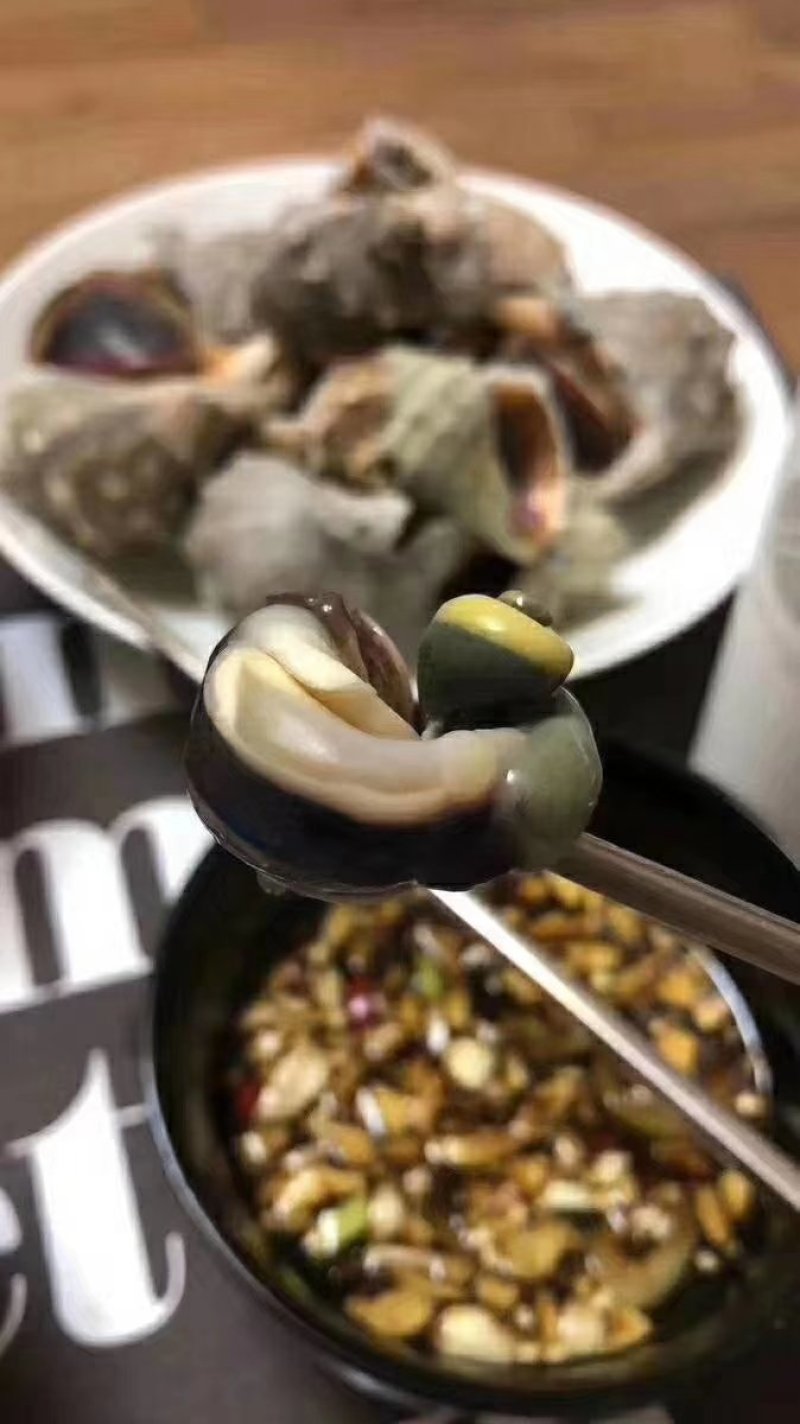 大海螺，规格齐全，鲜活发货，质量保证