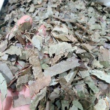 淫羊藿1公斤起批不包邮量大电议欢迎咨询各种中药材