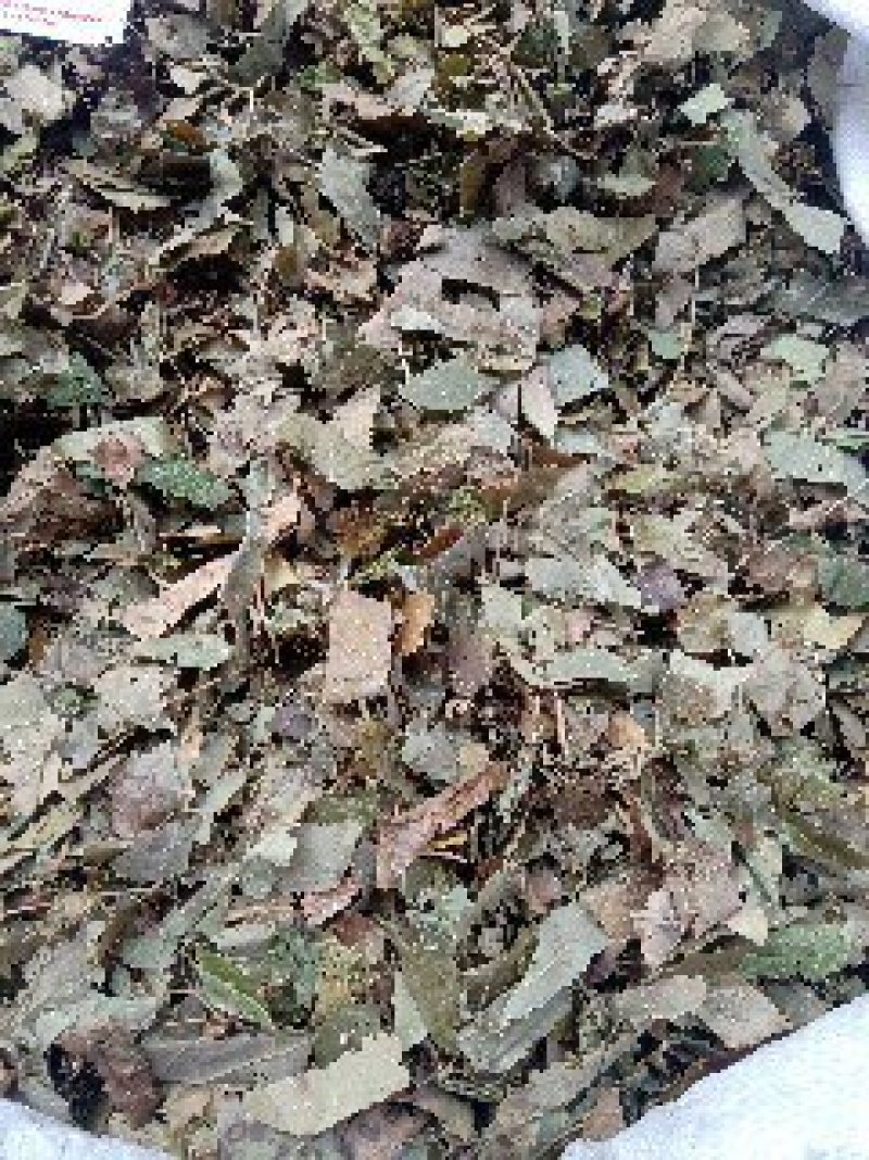 淫羊藿1公斤起批不包邮量大电议欢迎咨询各种中药材