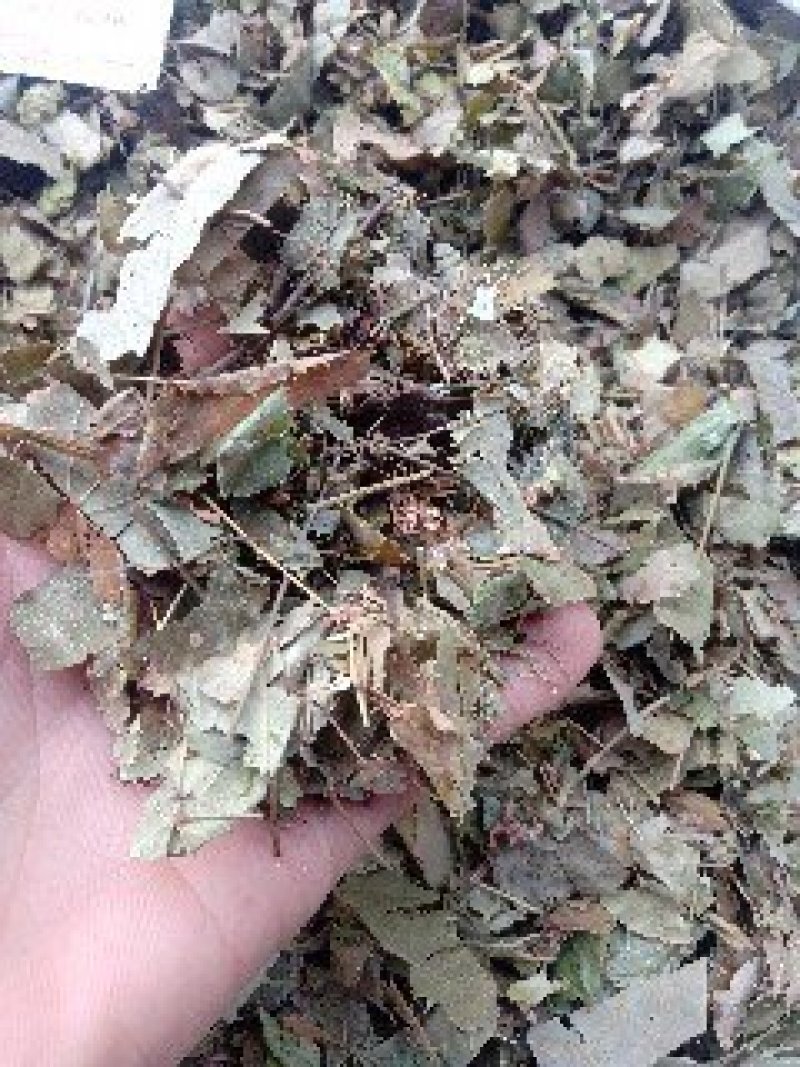 淫羊藿1公斤起批不包邮量大电议欢迎咨询各种中药材