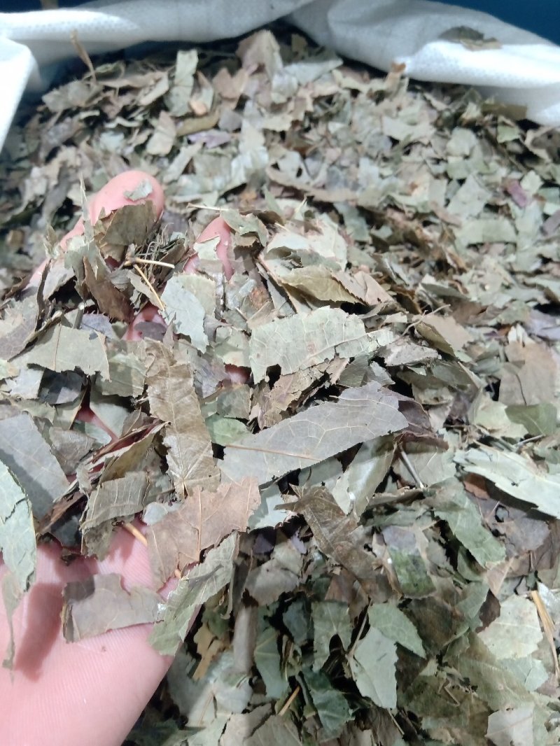 淫羊藿1公斤起批不包邮量大电议欢迎咨询各种中药材