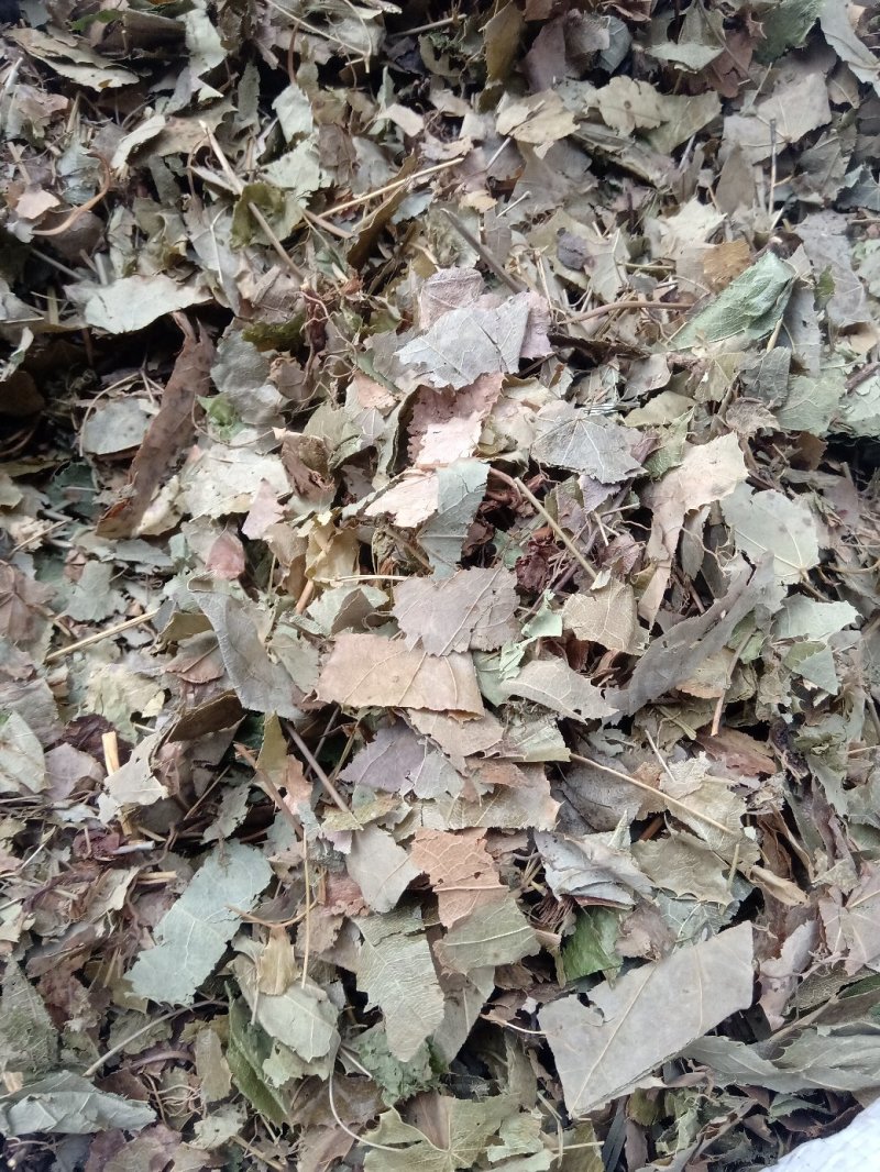淫羊藿1公斤起批不包邮量大电议欢迎咨询各种中药材