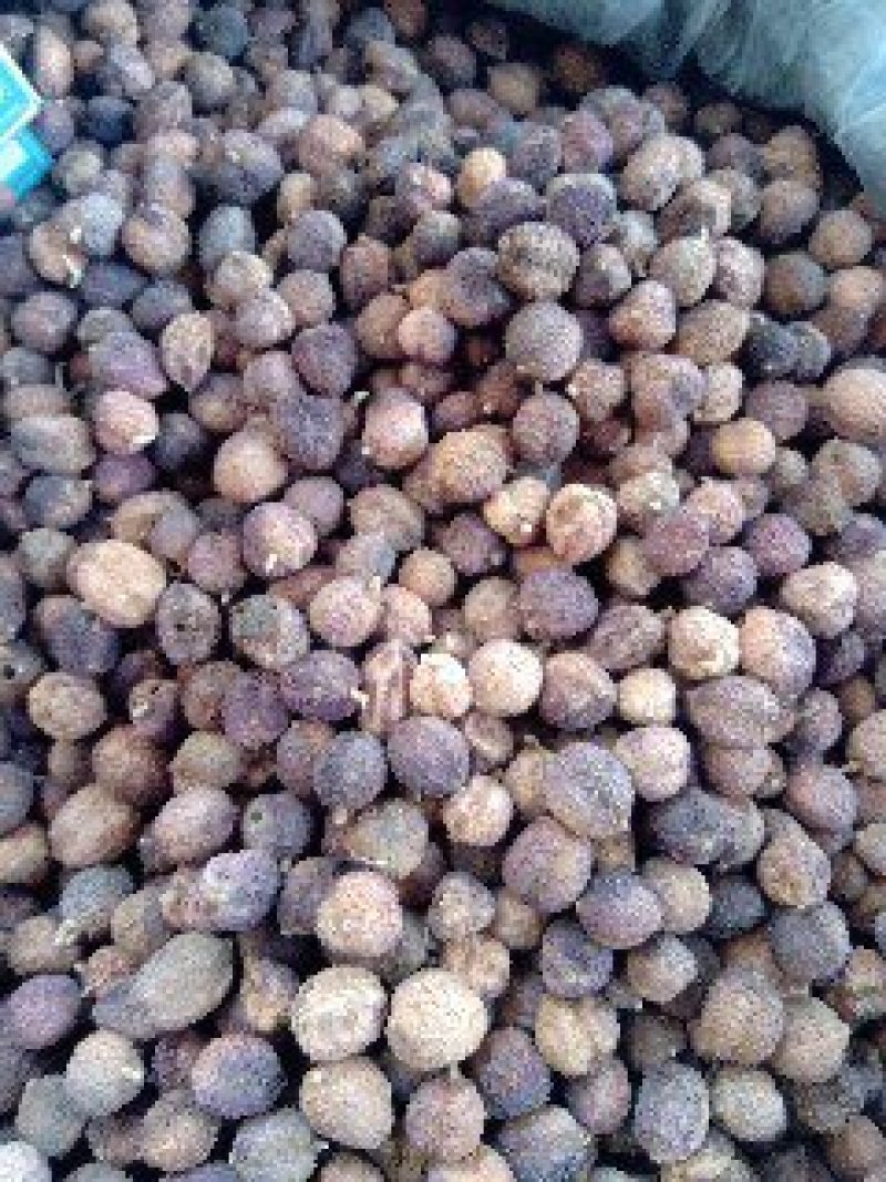 阳春砂正品质量保证诚信经营量大从优欢迎咨询……