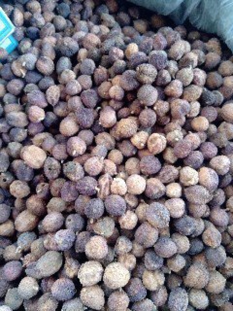 阳春砂正品质量保证诚信经营量大从优欢迎咨询……
