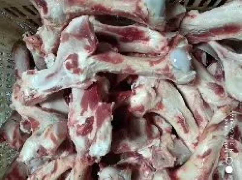 猪冻产品国产母猪前腿骨