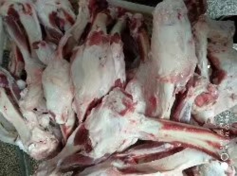 猪冻产品国产母猪前腿骨