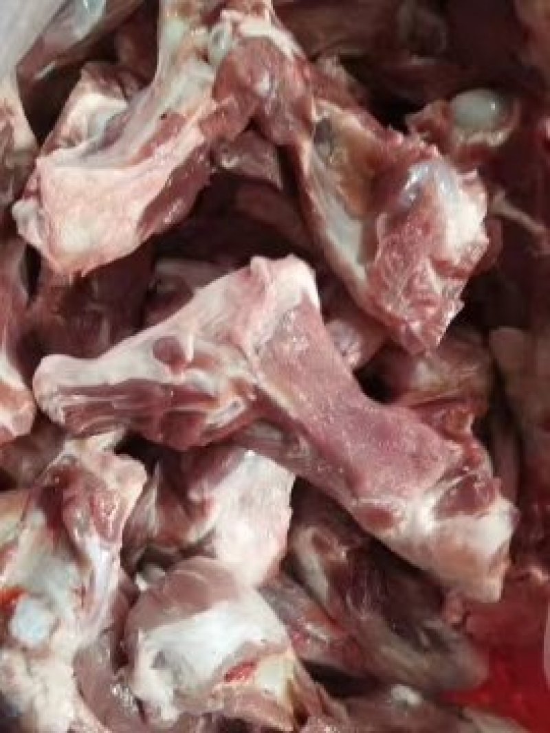 猪冻产品国产肥猪前腿骨