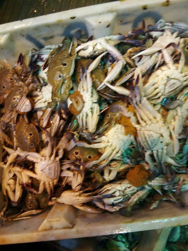远海梭子蟹食用。