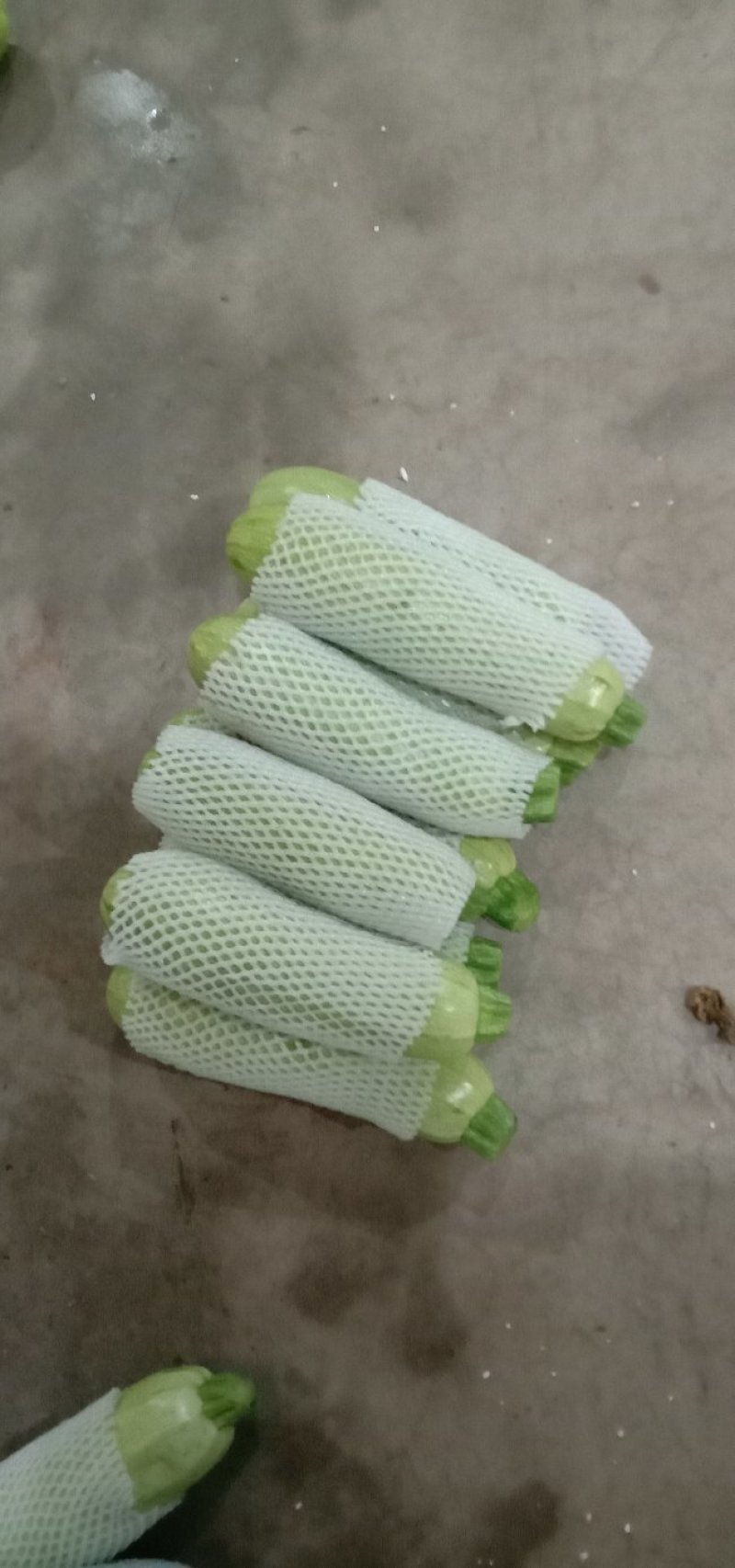 精品西胡芦