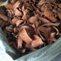 广西过江龙批发零售各种中药材
