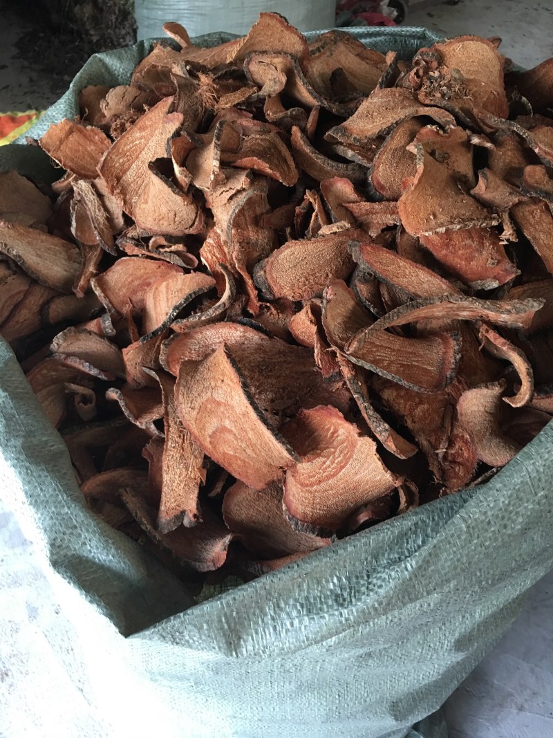 广西过江龙批发零售各种中药材