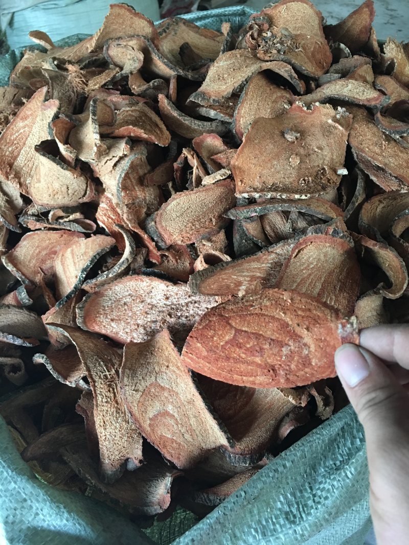 广西过江龙批发零售各种中药材