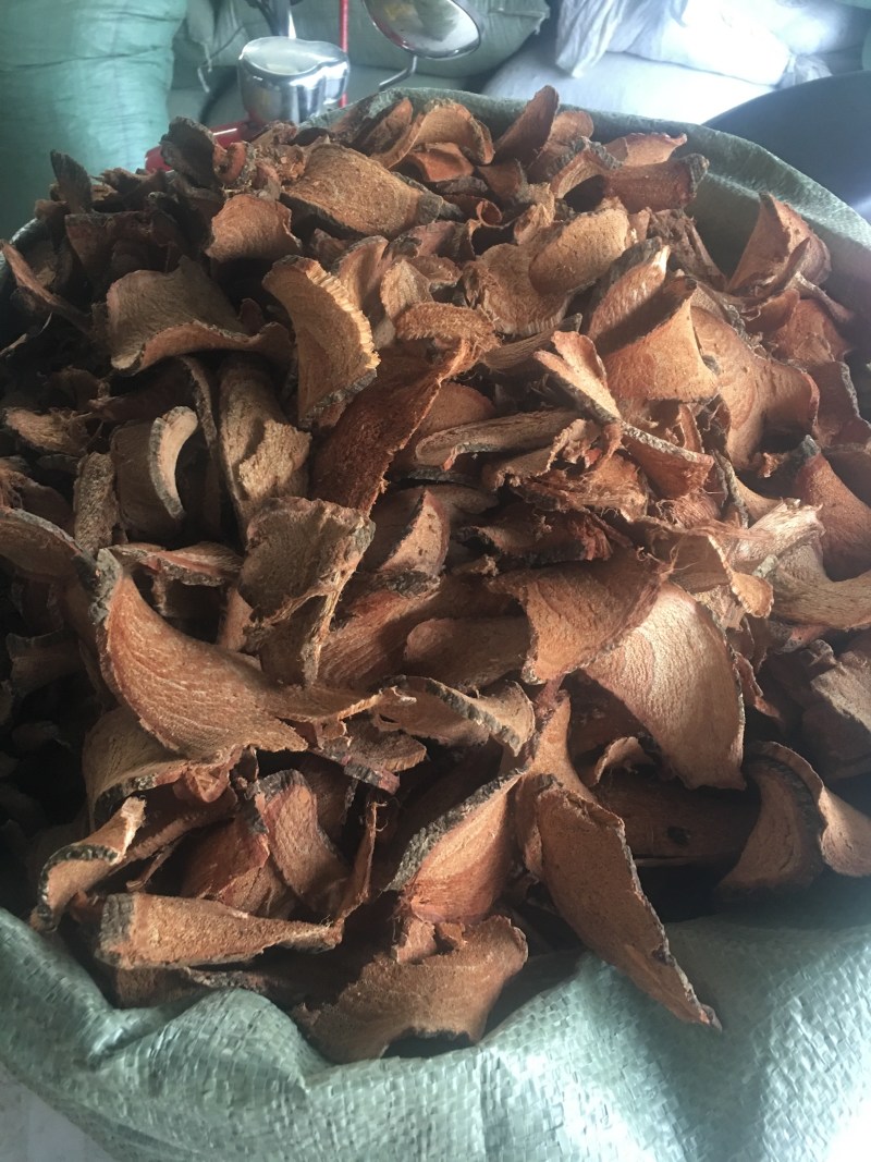 广西过江龙批发零售各种中药材