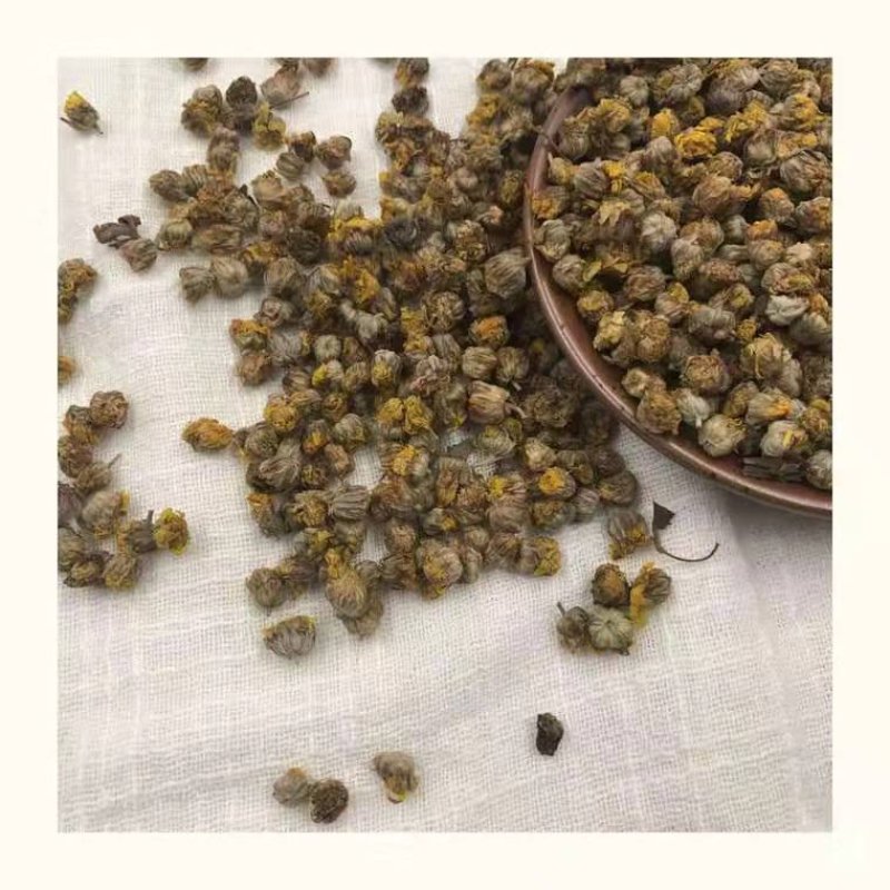 纯正野菊花10吨现货批发/零售欢迎大宗交易包邮