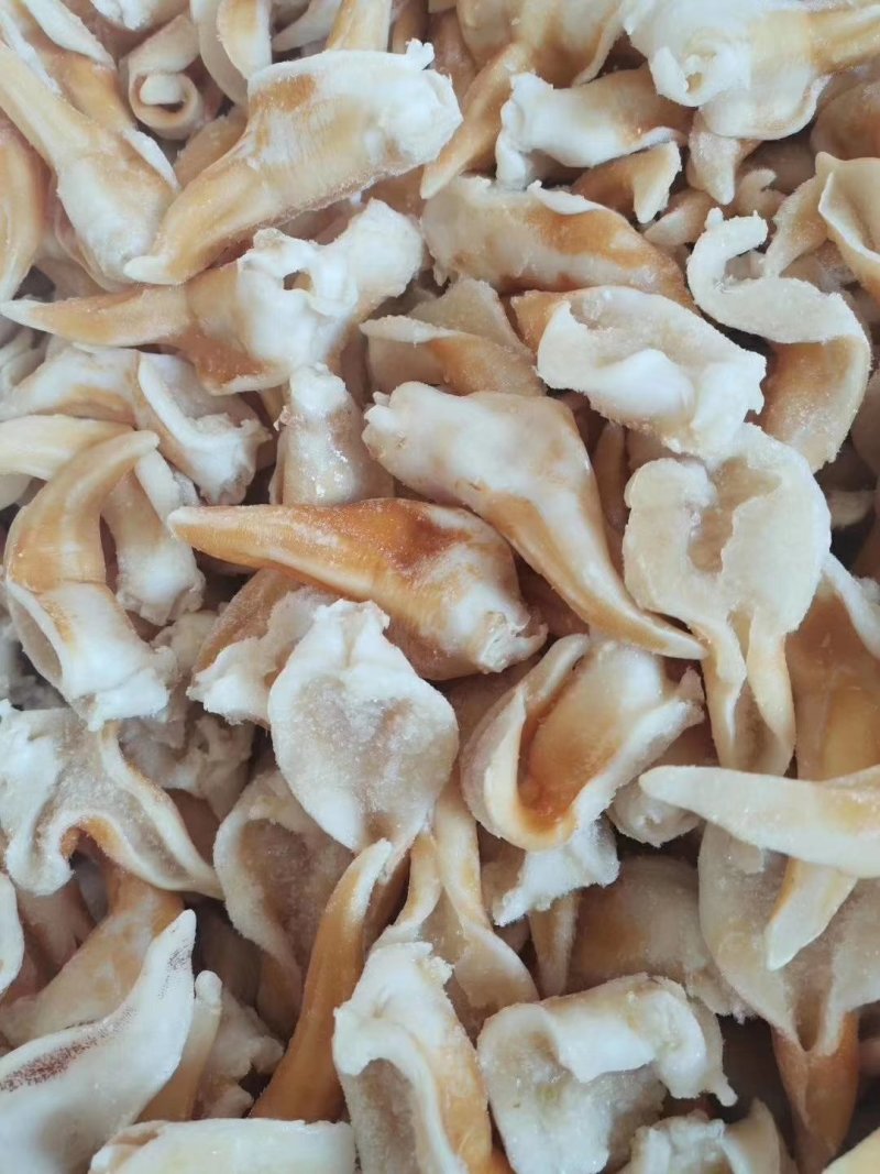 辽宁东港新鲜加工鸟贝肉质量好