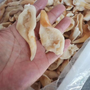 辽宁东港新鲜加工鸟贝肉质量好