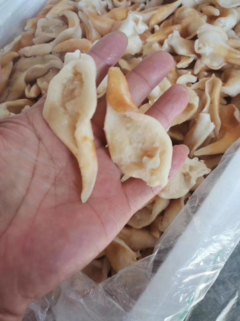 辽宁东港新鲜加工鸟贝肉质量好