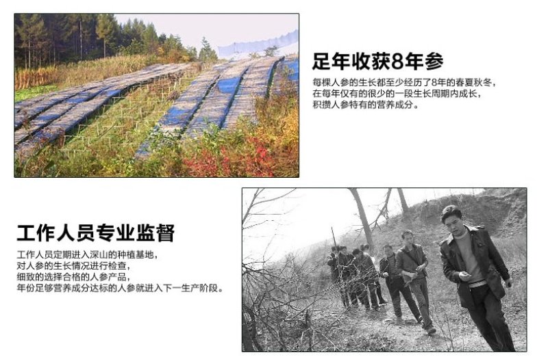 东北红人参无蔗糖红参吉林抚松县产地直发包邮