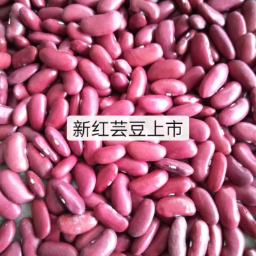 红芸豆
