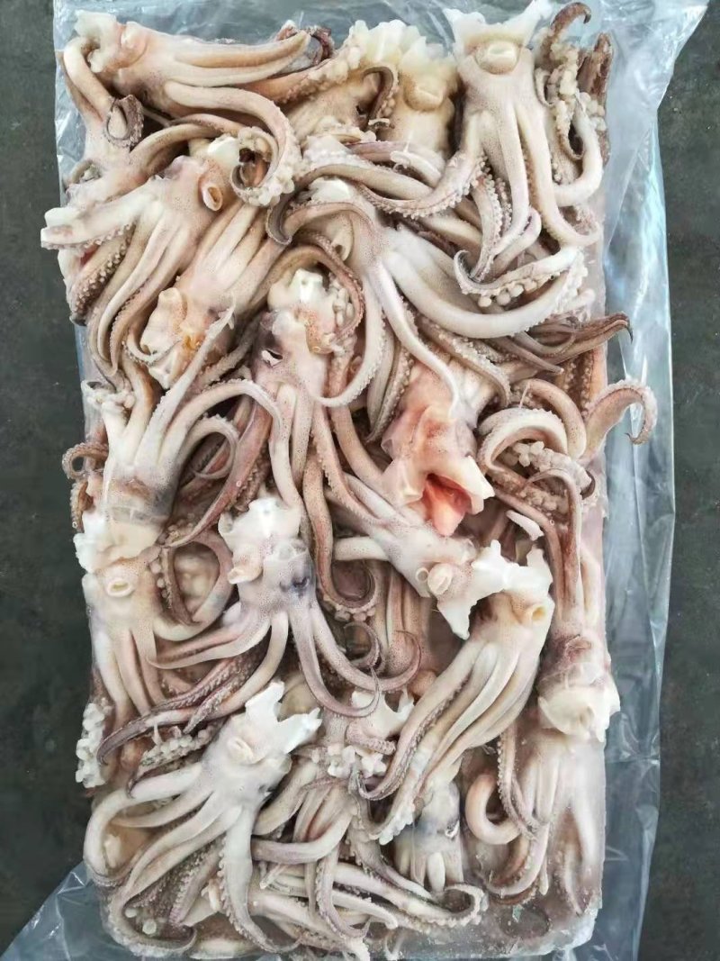 鱿鱼头鱿鱼头原料机洗鱿鱼头阿鱿头鱿鱼须
