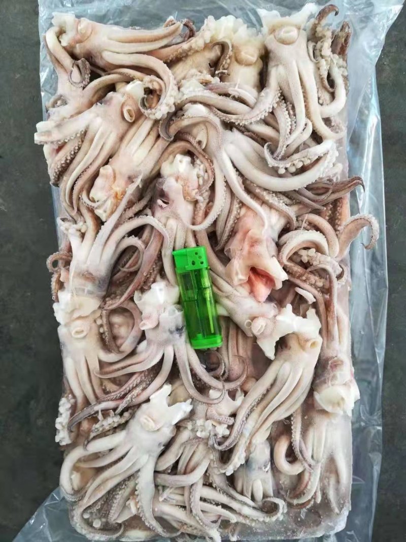 鱿鱼头鱿鱼头原料机洗鱿鱼头阿鱿头鱿鱼须
