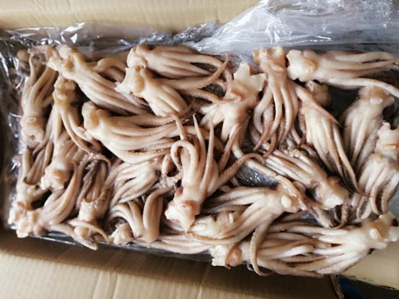 鱿鱼头鱿鱼头原料机洗鱿鱼头阿鱿头鱿鱼须