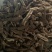 牡丹皮,货好量大,达到国家标准,制药厂投料