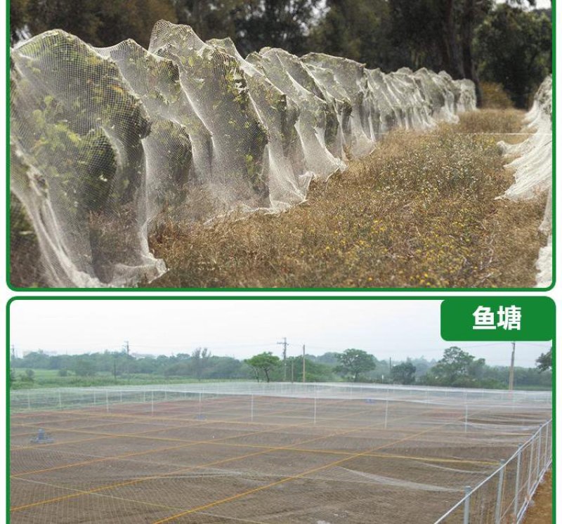 果园防鸟网鱼塘稻谷菜园防鸟天网葡萄园樱桃园尼龙网