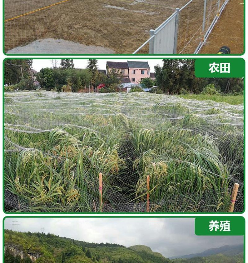 果园防鸟网鱼塘稻谷菜园防鸟天网葡萄园樱桃园尼龙网