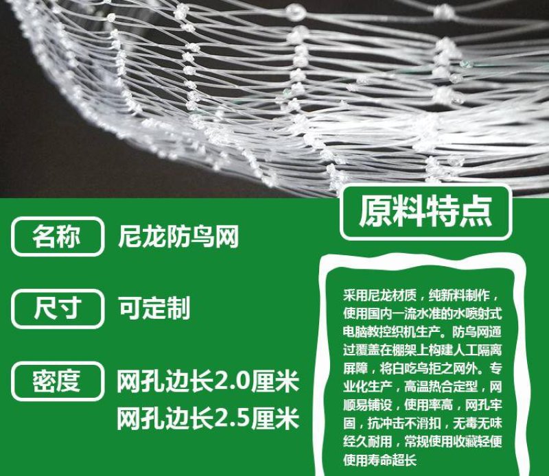 果园防鸟网鱼塘稻谷菜园防鸟天网葡萄园樱桃园尼龙网