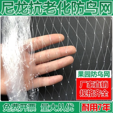 果园防鸟网鱼塘稻谷菜园防鸟天网葡萄园樱桃园尼龙网