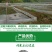 果园防鸟网鱼塘稻谷菜园防鸟天网葡萄园樱桃园尼龙网