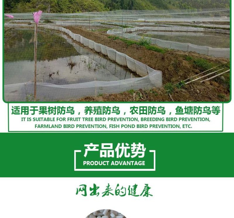 果园防鸟网鱼塘稻谷菜园防鸟天网葡萄园樱桃园尼龙网