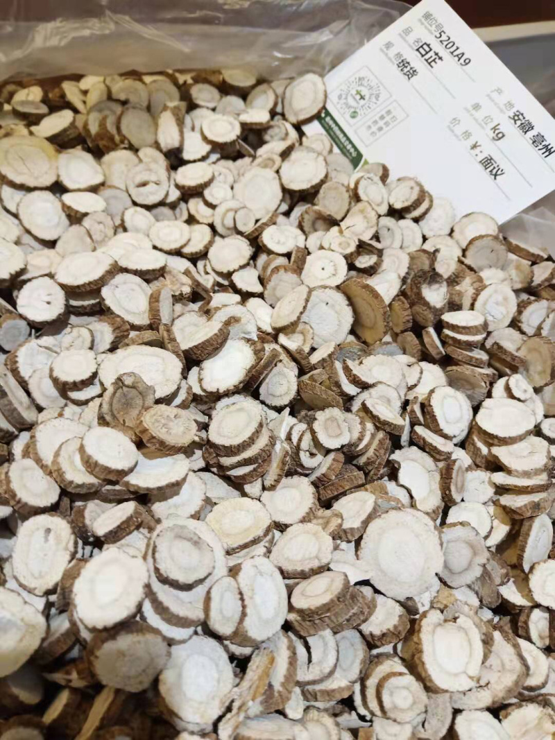 白芷优质白芷片无添加无硫欢迎全国各地采购商选购