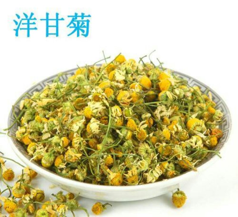 洋甘菊各种规格产地直供支持线上交易