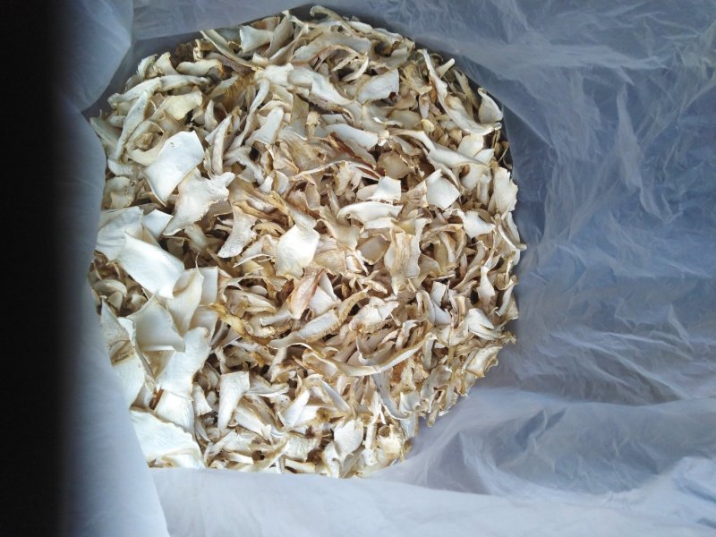 野生菌